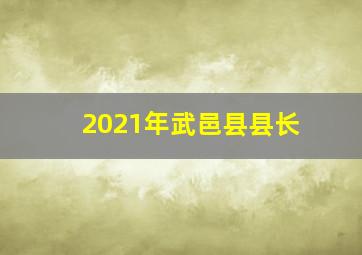 2021年武邑县县长