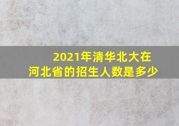 2021年清华北大在河北省的招生人数是多少