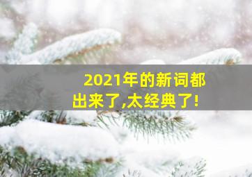 2021年的新词都出来了,太经典了!