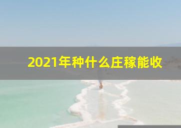 2021年种什么庄稼能收