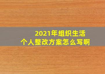 2021年组织生活个人整改方案怎么写啊