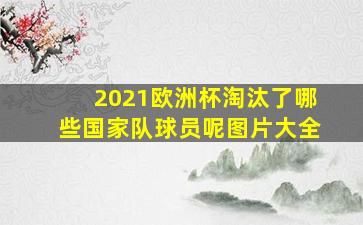 2021欧洲杯淘汰了哪些国家队球员呢图片大全