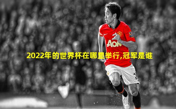 2022年的世界杯在哪里举行,冠军是谁