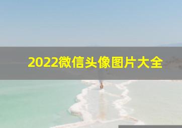 2022微信头像图片大全