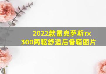 2022款雷克萨斯rx300两驱舒适后备箱图片