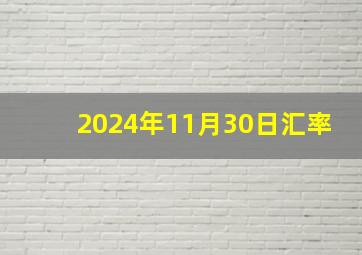 2024年11月30日汇率