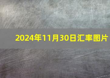 2024年11月30日汇率图片