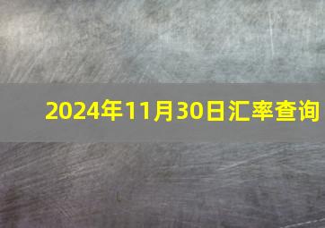 2024年11月30日汇率查询