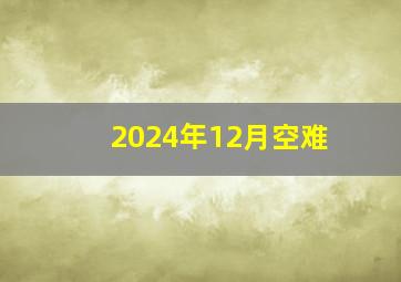 2024年12月空难