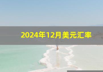 2024年12月美元汇率