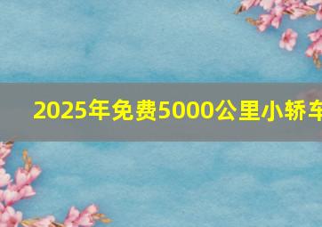 2025年免费5000公里小轿车