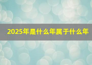 2025年是什么年属于什么年