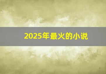 2025年最火的小说