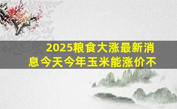 2025粮食大涨最新消息今天今年玉米能涨价不