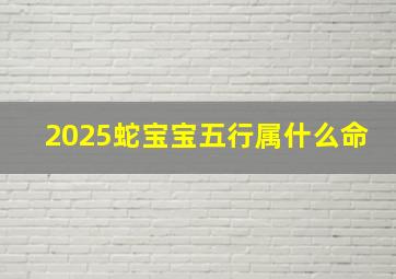 2025蛇宝宝五行属什么命