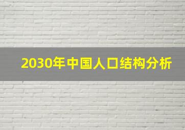 2030年中国人口结构分析