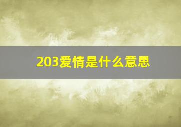 203爱情是什么意思