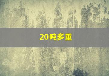 20吨多重