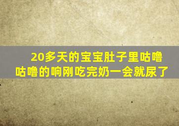 20多天的宝宝肚子里咕噜咕噜的响刚吃完奶一会就尿了