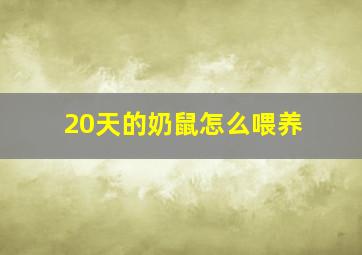 20天的奶鼠怎么喂养