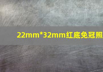 22mm*32mm红底免冠照片