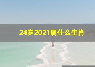 24岁2021属什么生肖