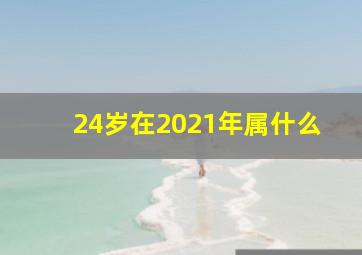 24岁在2021年属什么