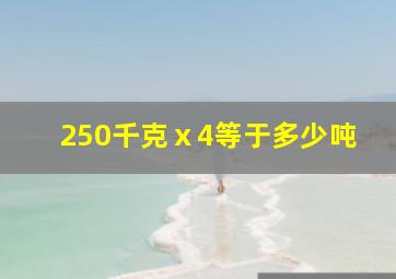 250千克ⅹ4等于多少吨