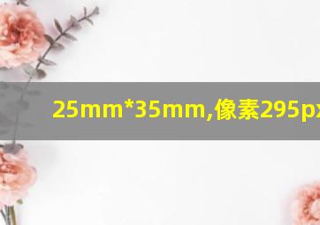 25mm*35mm,像素295px*413px