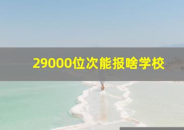 29000位次能报啥学校