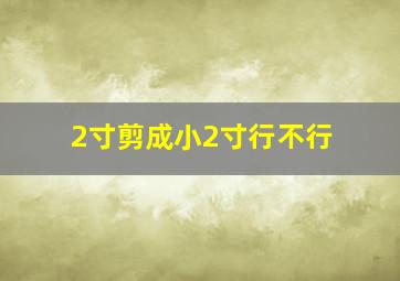 2寸剪成小2寸行不行