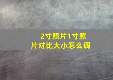 2寸照片1寸照片对比大小怎么调