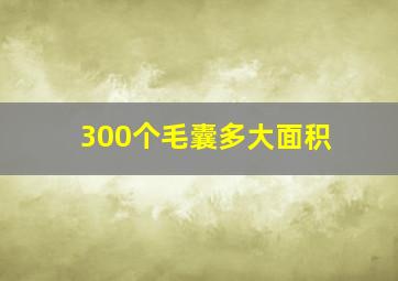 300个毛囊多大面积