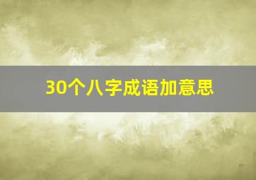 30个八字成语加意思