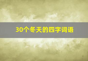 30个冬天的四字词语