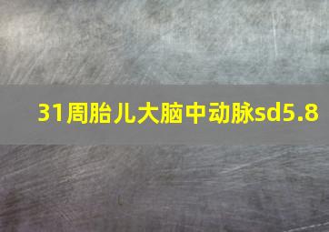 31周胎儿大脑中动脉sd5.8