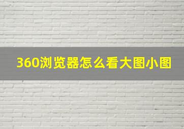 360浏览器怎么看大图小图