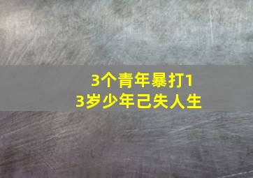 3个青年暴打13岁少年己失人生