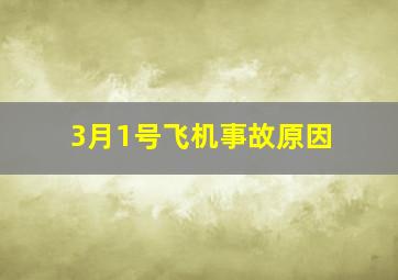 3月1号飞机事故原因