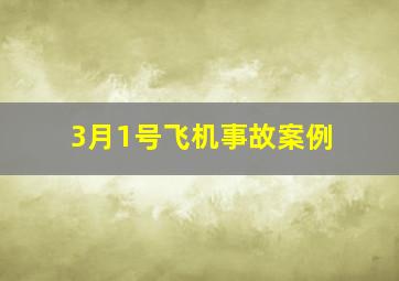 3月1号飞机事故案例