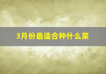 3月份最适合种什么菜