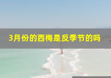 3月份的西梅是反季节的吗