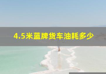 4.5米蓝牌货车油耗多少