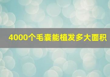 4000个毛囊能植发多大面积