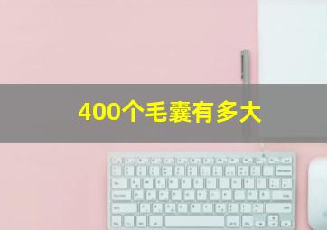 400个毛囊有多大