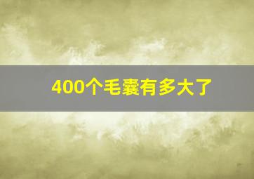 400个毛囊有多大了