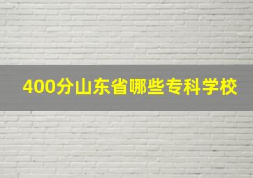 400分山东省哪些专科学校