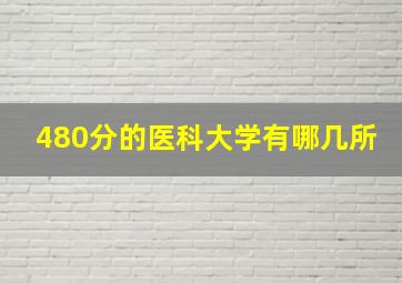 480分的医科大学有哪几所