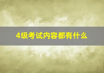 4级考试内容都有什么