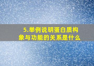 5.举例说明蛋白质构象与功能的关系是什么